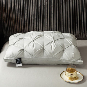 Collection d'hôtels Textile de maison Oreillers en plumes de <span class=keywords><strong>canard</strong></span> 50*50cm <span class=keywords><strong>Oreiller</strong></span> en <span class=keywords><strong>duvet</strong></span> Oreillers de conception d'<span class=keywords><strong>oie</strong></span> - Product Image 2