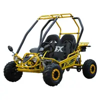 חדש ללכת Karts 110cc/125cc karts dune באגי שני מושבים עבור ילד