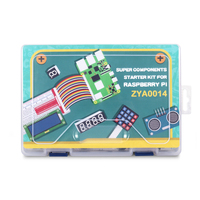 Tscinbuny Kits STEM DIY d'Éducation au Codage, Kit de Démarrage en Électronique pour RPi MCU Arduino