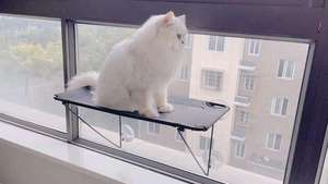 Tompo-Hamac unisexe pour chat, lit suspendu avec fenêtre, amovible et chaud pour chats de 5 à 7 ans - Product Image 2