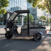 Tricycle électrique neuf Chongqing Cheetah Power ATV - OEM ODM 2026 60V/72V 1000W 50A