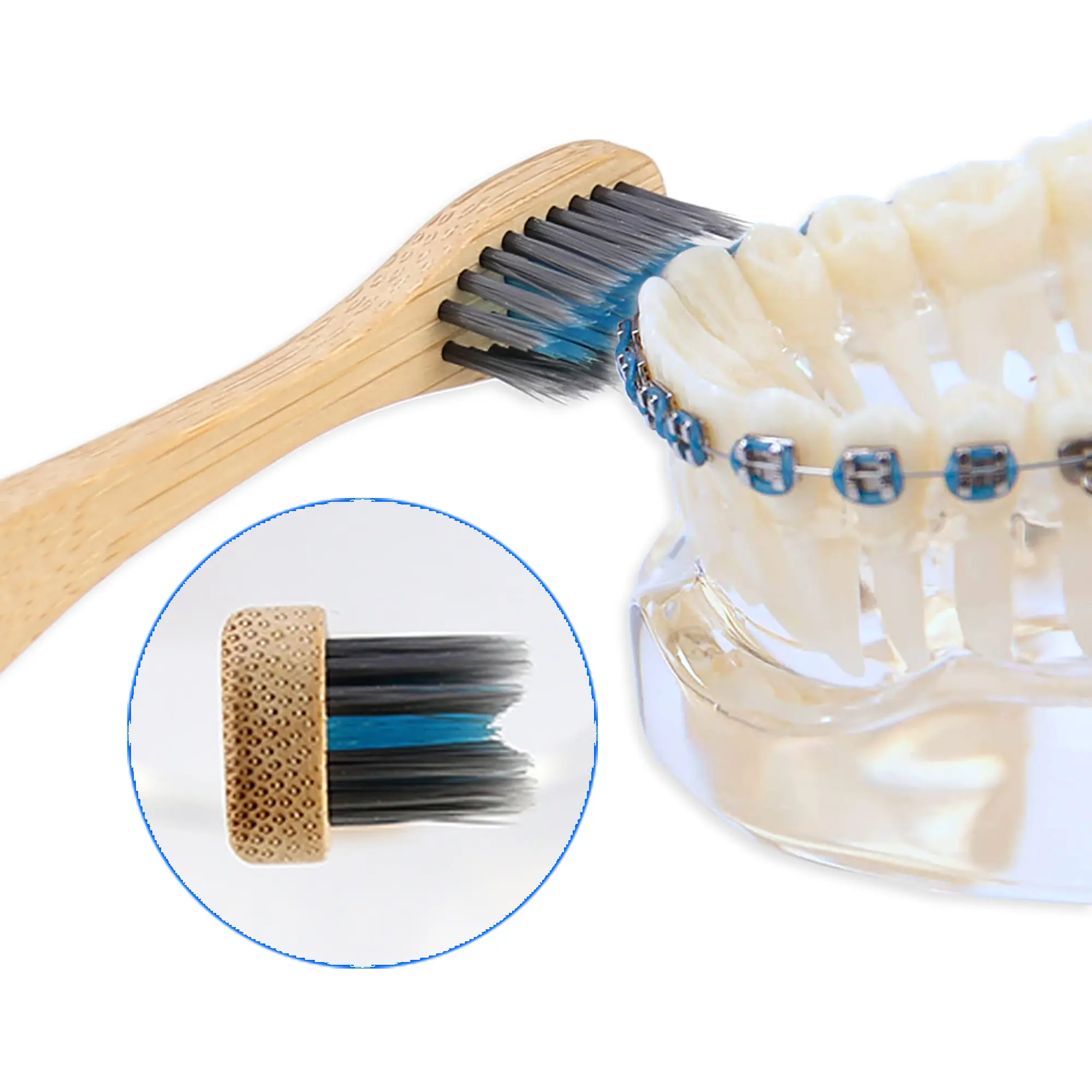 Vegan doğal saplı biyobozunur eko bambu diş fırçası V şekilli kıllar V döşeme ortodontik diş fırçası