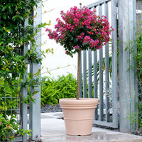 Pot de fleurs décoratif d'extérieur Milan de 18 pouces en plastique moulé par soufflage, imitation argile, pour usage domestique au sol, type emballage