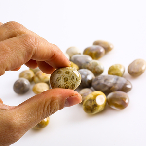 Bán Buôn Đánh Bóng Chữa Bệnh Sỏi San Hô Tự Nhiên Hóa Thạch Tumbled Stones Hóa Thạch Vỏ Sò Palm - Product Image 2