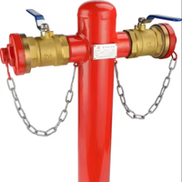 Bouche d'incendie en mousse au sol extérieure de qualité supérieure Type de pilier DN100/150 pour système d'extinction d'incendie
