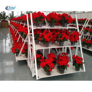 126รถเข็นดอกไม้สถานรับเลี้ยงเด็ก,ต้นกล้ารถเข็นตาข่ายเดนมาร์ก,ผู้ให้บริการโรงงานรถเข็นดอกไม้ดัตช์ CC - Product Image 1