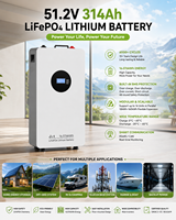 Batería LiFePO4 de 5kWh, 10kWh, 16kWh, 314Ah, 100Ah, 200Ah, 48V, 51.2V con BMS Integrado, Ciclo Profundo, Almacenamiento de Energía Solar para Uso Doméstico, Más de 6000 Ciclos