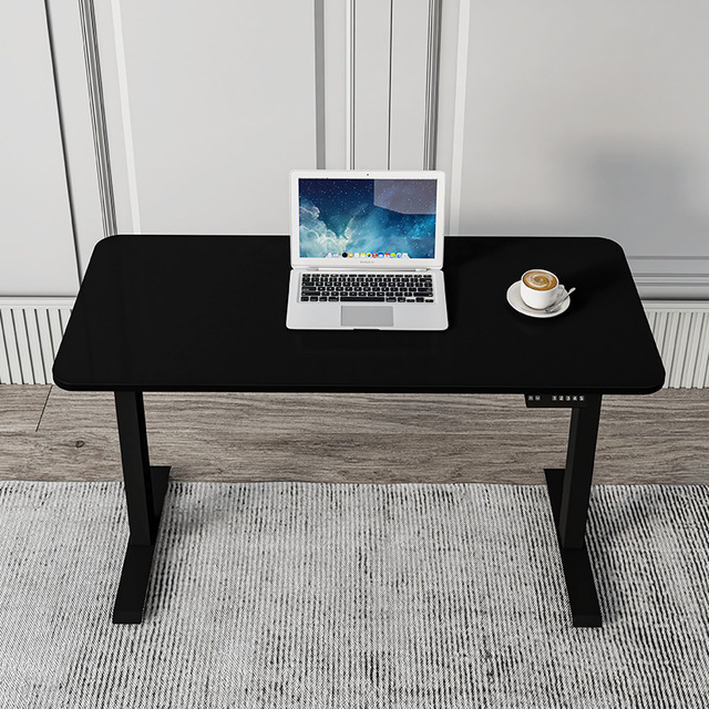 Professional Ergonomics Single-Person Height-Adjustable Electric Lift Workstation