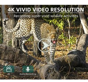 Caméra de surveillance de la faune RD3009L, vidéo 4K, <span class=keywords><strong>photo</strong></span> 30MP, étanche IP66, détection de mouvement SD, chasse avec vision <span class=keywords><strong>nocturne</strong></span> de 65 pieds - Product Image 5
