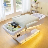 Table de massage de beauté, lit pour extensions de cils, fauteuil de lavage pour salon de coiffure, fauteuil de pédicure, lit de spa coréen pour le cuir chevel