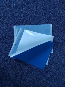 Rắn Nhựa Dùng Một Lần Màu Xanh Vàng Dính Thẻ Hội Đồng Quản Trị 25*40Cm Hai Mặt Keo Bẫy Cho Bay Côn Trùng Sâu Bệnh Kiểm Soát Dịch hại - Product Image 6