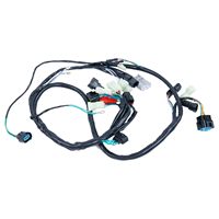 Harnais électronique personnalisé Hooha, assemblage de faisceau de câbles, conducteur en cuivre étamé, gaine en nylon/PVC, moto TRX450R