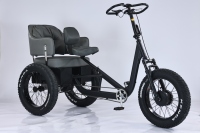 Venta de Fábrica en China: Triciclo Eléctrico para Adultos DAURADA ET-C01, Triciclo de Carga con Batería de Litio, Capacidad de Carga de 200 kg, Aleación de Aluminio