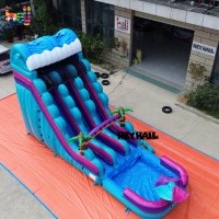 Toboggan aquatique gonflable commercial bleu en PVC à double usage, installation pratique, Heyhail HJSW-138, garantie 1 an, prix direct usine