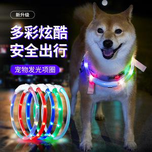 Collier lumineux pour chien, étanche, rechargeable par USB, coloré, personnalisable. - Product Image 1