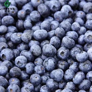 Arándano salvaje congelado Fruta congelada orgánica Al por mayor Fresh Black Red Freezing Blueberry Berries <span class=keywords><strong>Comprar</strong></span> en venta - Product Image 3