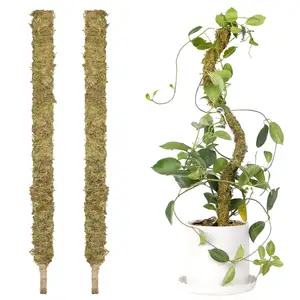 Сгибаемый натуральный экологически чистый мох 25-47 дюймов, опора для подъема растений | Растения ручной работы