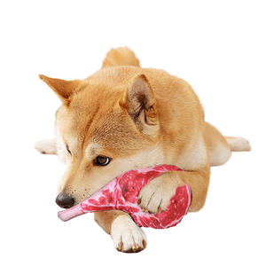 Nuova bistecca giocattolo per animali domestici che mordono un giocattolo divertente per cani resistente ai morsi - Product Image 3