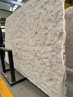 Panneaux de mur ondulés en pierre de fente naturelle attrayante dalle épaisse moderne de visage de roche de calcaire blanc