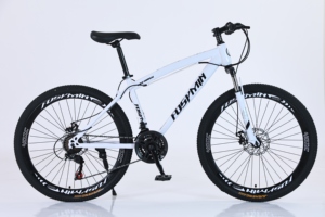 China Factory Cheap 26-Inch 21 Speed High Carbon Steel Stock Disc Spoke Wheel Customized Mountain Bike FSY-YYY-2601 24 Inch Moun - Product Image 4