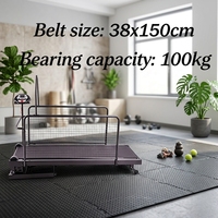 Tapis roulant électrique pliable pour chien, portable, avec affichage LED, équipement d'entraînement pour animaux de compagnie, directement de l'usine EUR PET