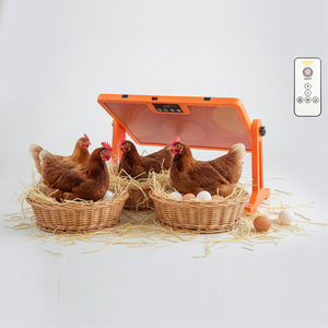 Plaque chauffante FIR écologique 250W pour animaux de compagnie, contrôle précis de la température avec télécommande pour une production d'œufs saine en hiver - Product Image 1