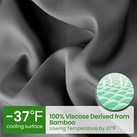 Cloudland Parure de Draps en Bambou 4 Pièces, Ensemble de Literie en Gros, 100% Bambou Bio, Drap-Housse Ajusté Charbon