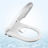 Couvercle de toilette bidet manuel de luxe en forme de D, design ultra-mince, anti-choc, pression d'eau réglable pour l'hygiène personnelle
