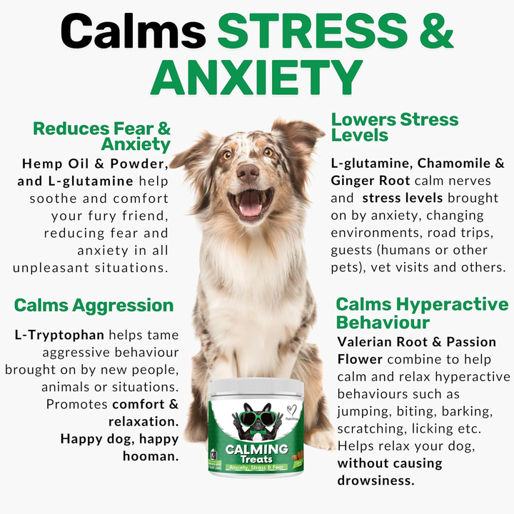 Photo inspiration: Visual Reference: Oem Natural Pet Health Care Supplements Soft Chews Chicken Flavor