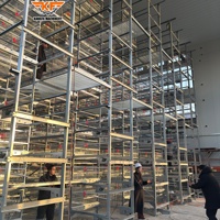 Système d'alimentation entièrement automatique, cage à poules pondeuses de type H, galvanisée, haute densité, équipement durable pour élevages avicoles