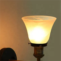 Abat-jour en verre alabastro pour ventilateur de plafond, style moderne, minimaliste, traditionnel, chinois, industriel