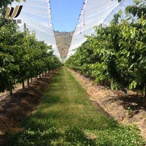 <span class=keywords><strong>Bâche</strong></span> en polyéthylène imperméable en gros d'usine pour <span class=keywords><strong>abri</strong></span> transparent de <span class=keywords><strong>bâche</strong></span> d'arbre fruitier de verger agricole - Product Image 2