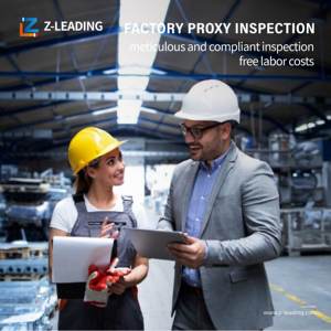 Expédition maritime de marchandises dangereuses, service DDP de Chine vers l'Europe et inspection des marchandises, pas cher et rapide - Product Image 3