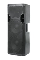 Enceinte en bois amplifiée 500W RMS pour DJ professionnel, double woofer ferrite 10 pouces, moule privé pour l'achat audio en gros