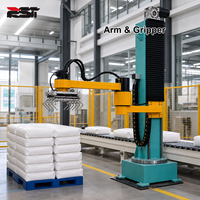 Bras robotisé de palettisation entièrement automatique avec moteur de boîte de vitesses PLC et ventouse pour cartons, bouteilles d'eau, sacs et boîtes