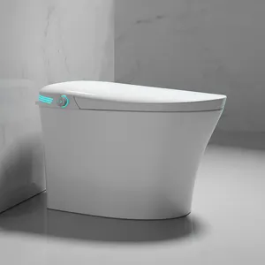Ceramic Supplier Wc Sanitary Ware One Piece Luxury Auto Wash Automatic Water Spray Intelligent Control Smart Toilet For Bathroom