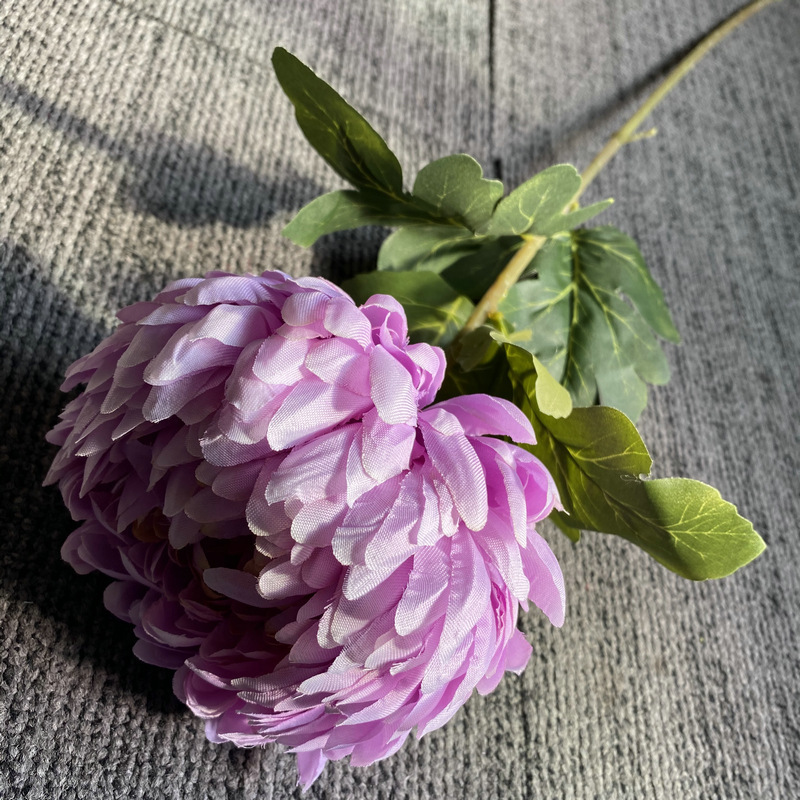 Lilac Colour