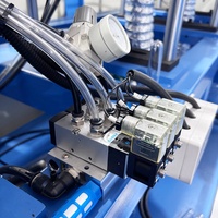 Vente Flash : Machine de soufflage automatique de bouteilles PET à 4 cavités, machine de fabrication de bouteilles d'eau de type linéaire avec automatisation PLC Delta