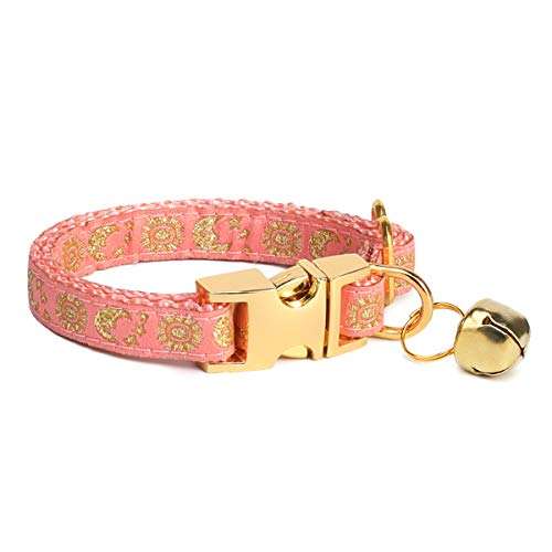 Coral Pink Collar
