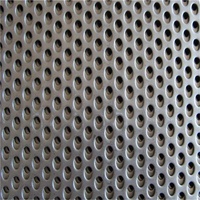 Malla Perforada de Acero Inoxidable 304 con Orificios Redondos para Ventilación de Cercas, con Servicios de Doblado y Corte