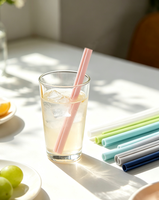 Pailles en silicone pliables et écologiques en gros avec étui et accessoires de nettoyage pour bar
