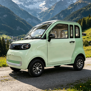 Mini Véhicules <span class=keywords><strong>Électrique</strong></span>s Nouveaux pour Adultes, Mini <span class=keywords><strong>Voiture</strong></span> <span class=keywords><strong>Électrique</strong></span> 4 Roues, Conception pour les Déplacements Quotidiens, Certificat EEC COC - Product Image 6