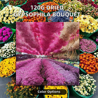 120g Buket Gypsophila Alami (Baby's Breath) Grosir Pabrik Bunga Kering Awet untuk Pernikahan, Natal, Wisuda