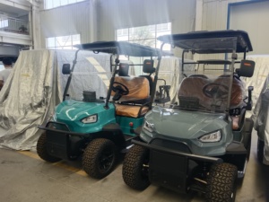 Nuevo Carro de Golf Eléctrico Urbano 2025 para 3-4 Pasajeros con Batería de Litio de 3500W-7500W - Product Image 4
