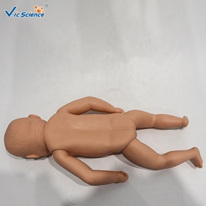 Modelo Anatómico <span class=keywords><strong>de</strong></span> <span class=keywords><strong>Esqueleto</strong></span> <span class=keywords><strong>de</strong></span> Bebé <span class=keywords><strong>de</strong></span> PVC Avanzado, Modelo Médico <span class=keywords><strong>Humano</strong></span> para Uso en Escuelas <span class=keywords><strong>de</strong></span> Medicina y Aulas - Product Image 4