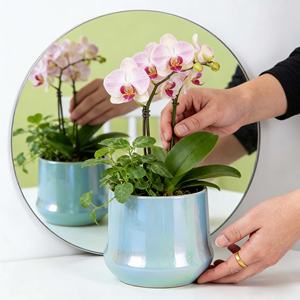 Maceta de Cerámica Esmaltada para Suculentas, Estilo Nórdico Minimalista y Creativo, Ecológica, Duradera, para Uso en Interiores, con Acabado Iridiscente - Product Image 5