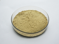 Kualitas tinggi ekstrak akar Astragalus ekstrak bubuk Astragalosides