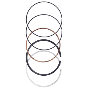 Pièces de moteur de moto segments de piston STD 89mm pour <span class=keywords><strong>KTM</strong></span> <span class=keywords><strong>390</strong></span> <span class=keywords><strong>Adventure</strong></span> 2020-2023 <span class=keywords><strong>390</strong></span> Duke 2015-2023 <span class=keywords><strong>390</strong></span> RC 2015-2020 <span class=keywords><strong>2022</strong></span> 2023 - Product Image 3