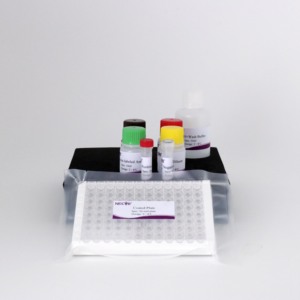 CSFV Erns Protein Antibody Diagnostic <strong>Kit</strong> for Swine Fever Monitoring &amp; Vaccine Efficacy Evaluation - Product Image 6