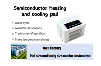 Consumer Electronics Cooling Pad Cooling Heating Eco-friendly PVC Material Multi-speed Adjustment Winter Summer Guangdong Made